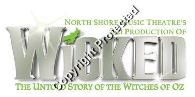 Wicked front logo