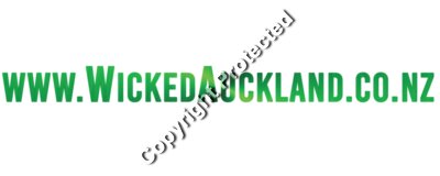 Wicked Website