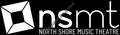 NSMT Logo White
